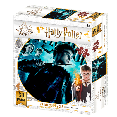 Puzzle 3D Harry Potter 300 dílků 3D Puzzle SPA