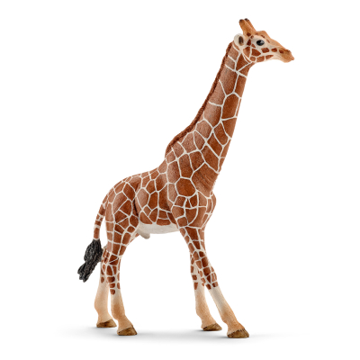Zvířátko - žirafa samec Schleich Wild Life