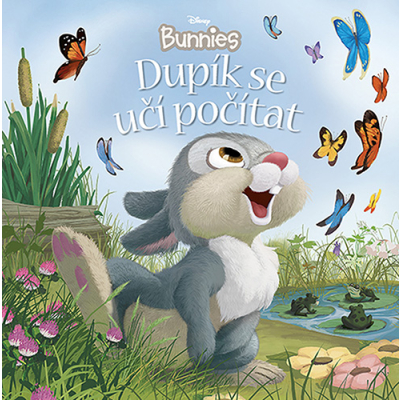 Disney Bunnies - Dupík se učí počítat Albatros